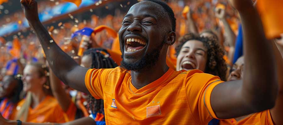 Wat voor soort sportfan ben jij? Lees verder en ontdek het zelf.