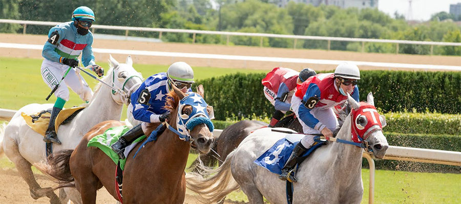 Het verschil tussen weddenschappen op voetbal, tennis en paardenraces