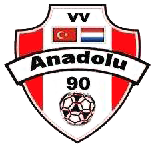 Clublogo voetbalvereniging VV Anadolu '90 uit Eerbeek