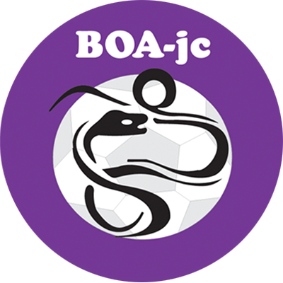 Clublogo voetbalvereniging BOA JC uit Horssen