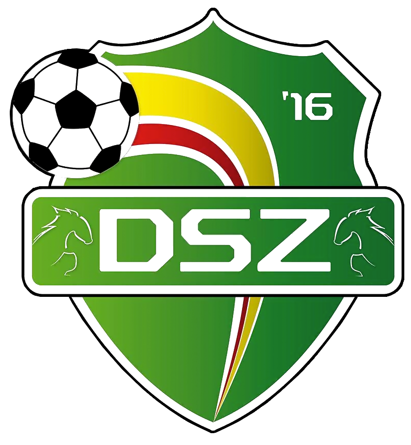 Clublogo voetbalvereniging DSZ '16 uit Zuidlaren