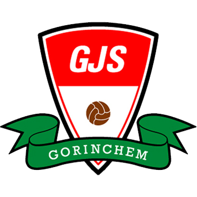 Clublogo voetbalvereniging GJS uit Dalem