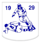 Historisch clublogo voetbalvereniging VV Waspik