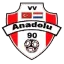 Logo Anadolu '90