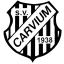 Logo Carvium