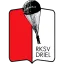 Clublogo voetbalvereniging RKSV Driel