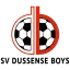 Clublogo voetbalvereniging Dussense Boys