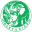 Logo RSM
