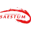Club logo football club Saestum