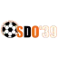 Clublogo voetbalvereniging SDO '39