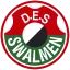 Clublogo voetbalvereniging DES Swalmen