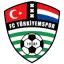 Logo Türkiyemspor Amsterdam FC