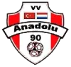 Clublogo voetbalvereniging VV Anadolu '90