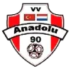 Clublogo voetbalvereniging VV Anadolu '90