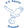 Clublogo voetbalvereniging VV Aquila