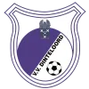 Clublogo voetbalvereniging VV Dinteloord