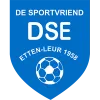 Clublogo voetbalvereniging VV DSE