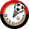 Clublogo voetbalvereniging DVSG