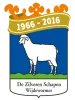 Clublogo voetbalvereniging DZS