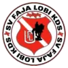 Clublogo voetbalvereniging Faja Lobi KDS