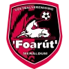 Clublogo voetbalvereniging VV Foarút