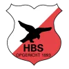 Clublogo voetbalvereniging HBS
