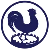 Clublogo voetbalvereniging HV & CV Quick