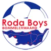 Clublogo voetbalvereniging VV Roda Boys/Bommelerwaard