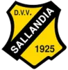 Clublogo voetbalvereniging DVV Sallandia