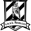 Clublogo voetbalvereniging TSVV Merlijn
