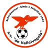Clublogo voetbalvereniging De Valleivogels
