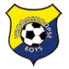 Clublogo voetbalvereniging VV Vroomshoopse Boys