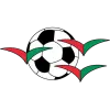 Clublogo voetbalvereniging HSV De Zuidvogels