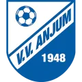 Clublogo voetbalvereniging VV Anjum