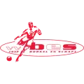 Club logo football club VV BES