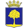 Clublogo voetbalvereniging SV Delden