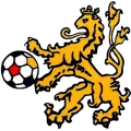 Clublogo voetbalvereniging VV Doetinchem