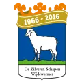 Club logo football club DZS