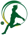 Clublogo voetbalvereniging VV FSG