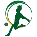 Clublogo voetbalvereniging VV FSG