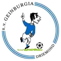 Clublogo voetbalvereniging SV Geinburgia