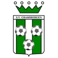 Club logo football club SV Gramsbergen