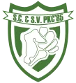 Clublogo voetbalvereniging PKC '85