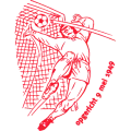 Club logo football club RKVSC