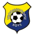 Club logo football club VV Vroomshoopse Boys