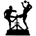 Club logo football club De Weebosch