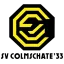 Club logo football club SV Colmschate '33