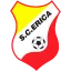Club logo football club SC Erica