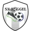 Clublogo voetbalvereniging SV Roggel