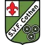 Clublogo voetbalvereniging SVF
